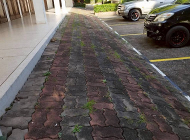 Big Cleaning Day ครั้งที่ 2 โครงการสมดุลชีวิตคนทำงาน พารามิเตอร์รูปภาพ 72